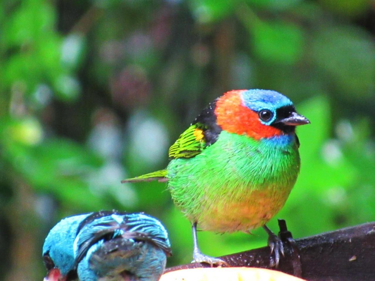 Pousada Do Pinheiro Camburi  Bagian luar foto